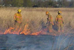 Fire Training 9.jpg